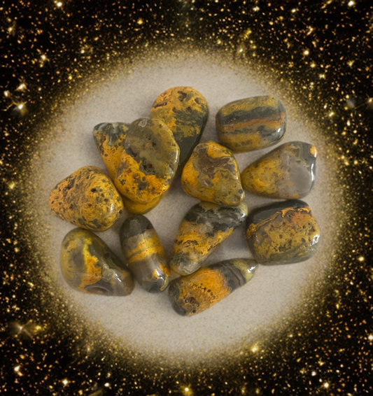 Bumblebee Jasper