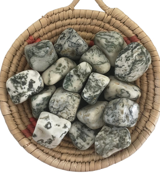 Tree Agate Tumblestone